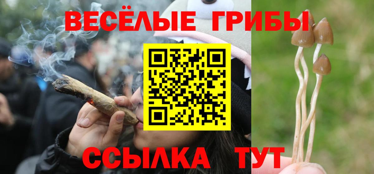 Галлюциногенные грибы ЛСД  Черкесск  Псилоцибиновые грибы MAGIC MUSHROOMS 