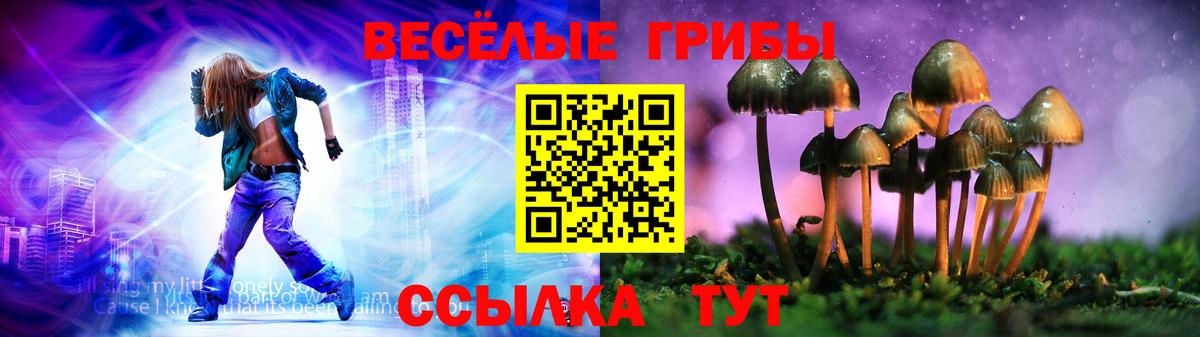 Черкесск  Галлюциногенные грибы MAGIC MUSHROOMS  Вход с VPN 