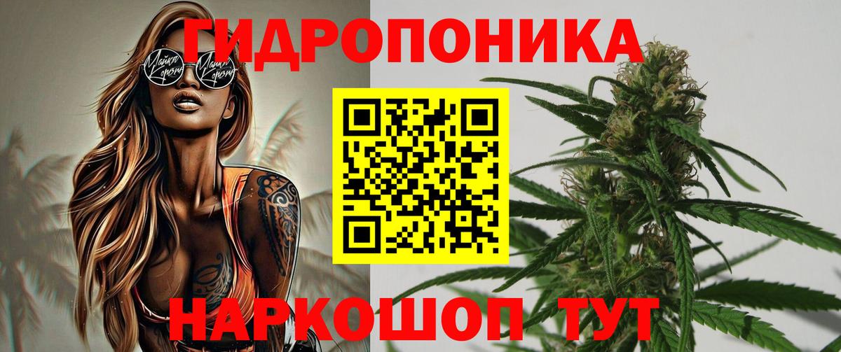 Бошки Шишки семена  Вход с VPN  Черкесск  Бошки Шишки MAZAR 